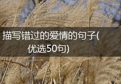 描写错过的爱情的句子(优选50句)