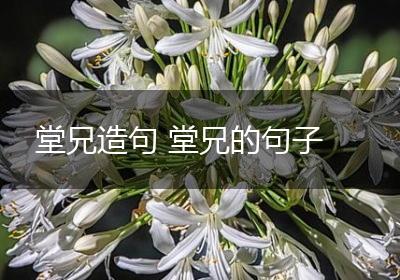 堂兄造句 堂兄的句子