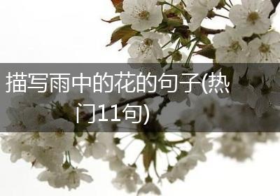 描写雨中的花的句子(热门11句)