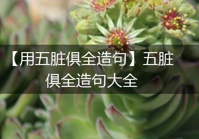 【用五脏俱全造句】五脏俱全造句大全