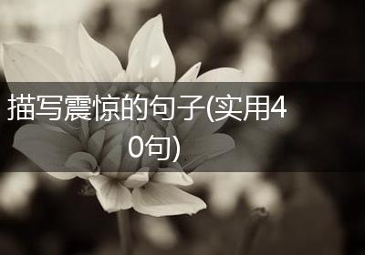 描写震惊的句子(实用40句)