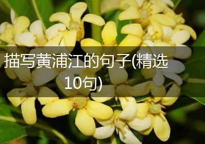 描写黄浦江的句子(精选10句)
