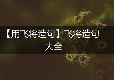 【用飞将造句】飞将造句大全