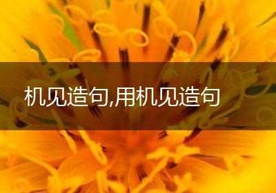 机见造句,用机见造句