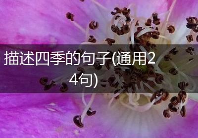 描述四季的句子(通用24句)