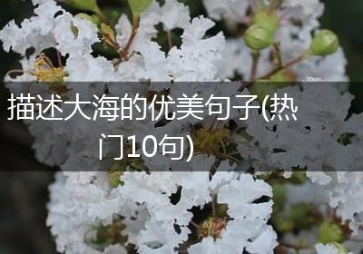 描述大海的优美句子(热门10句)