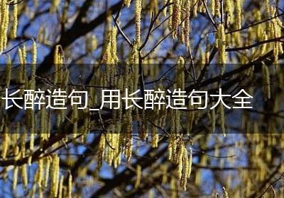 长醉造句_用长醉造句大全