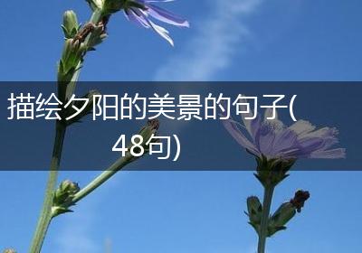 描绘夕阳的美景的句子(48句)