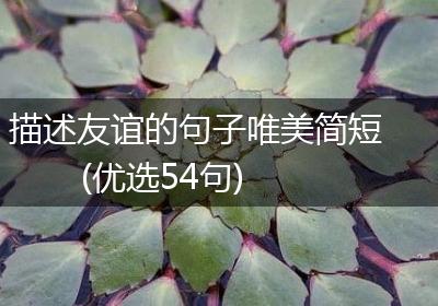 描述友谊的句子唯美简短(优选54句)