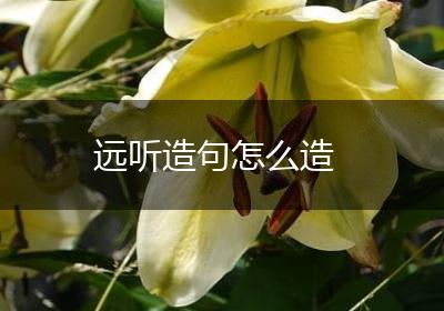 远听造句怎么造