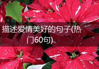 描述爱情美好的句子(热门60句)