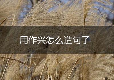 用作兴怎么造句子