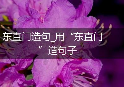 东直门造句_用“东直门”造句子