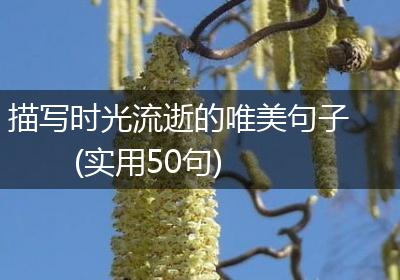 描写时光流逝的唯美句子(实用50句)