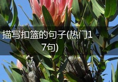 描写扣篮的句子(热门17句)