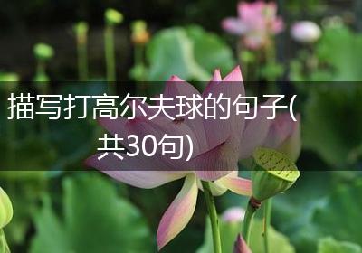 描写打高尔夫球的句子(共30句)