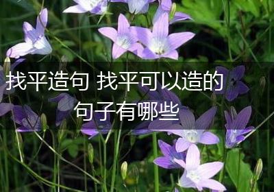 找平造句 找平可以造的句子有哪些