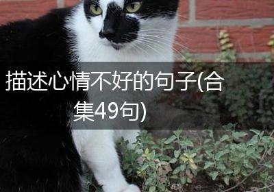 描述心情不好的句子(合集49句)