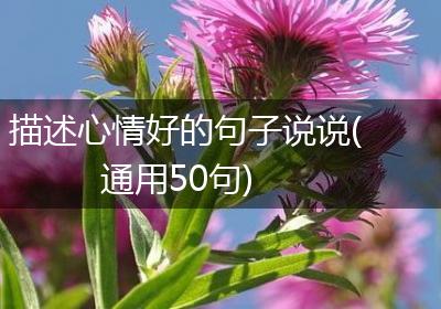 描述心情好的句子说说(通用50句)