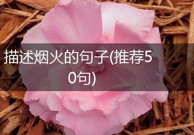 描述烟火的句子(推荐50句)