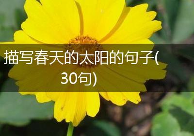描写春天的太阳的句子(30句)