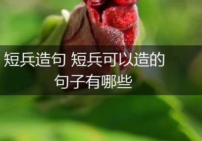 短兵造句 短兵可以造的句子有哪些