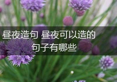 昼夜造句 昼夜可以造的句子有哪些
