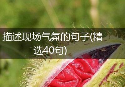 描述现场气氛的句子(精选40句)