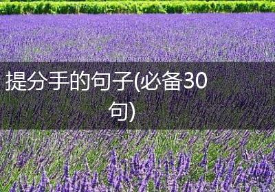 提分手的句子(必备30句)