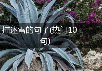 描述雪的句子(热门10句)