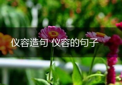 仪容造句 仪容的句子