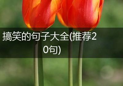 搞笑的句子大全(推荐20句)