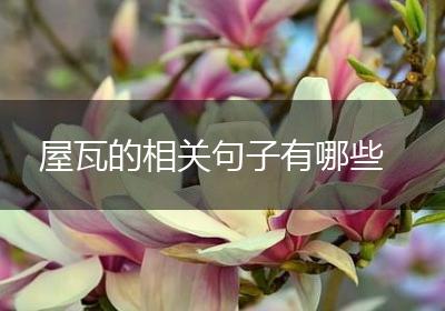 屋瓦的相关句子有哪些