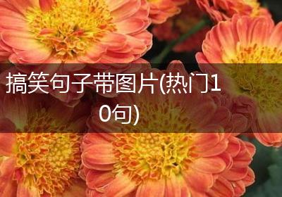 搞笑句子带图片(热门10句)