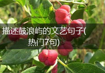 描述鼓浪屿的文艺句子(热门7句)