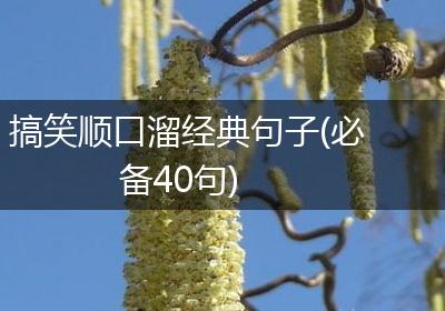 搞笑顺口溜经典句子(必备40句)