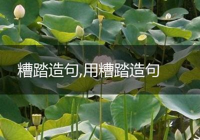糟踏造句,用糟踏造句