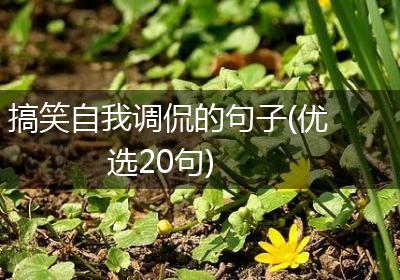 搞笑自我调侃的句子(优选20句)