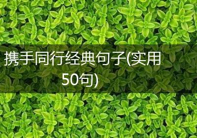 携手同行经典句子(实用50句)