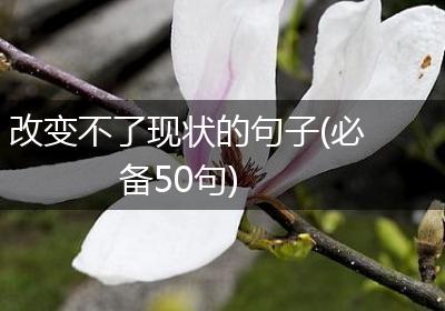 改变不了现状的句子(必备50句)