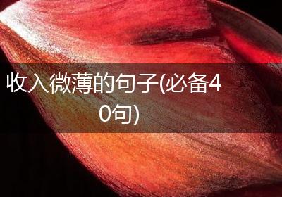收入微薄的句子(必备40句)