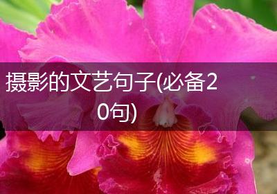 摄影的文艺句子(必备20句)