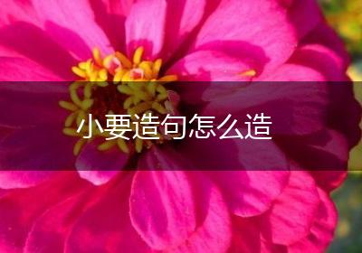 小要造句怎么造