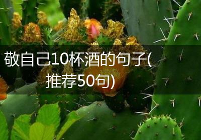 敬自己10杯酒的句子(推荐50句)