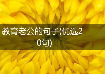 教育老公的句子(优选20句)