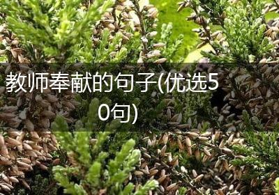 教师奉献的句子(优选50句)