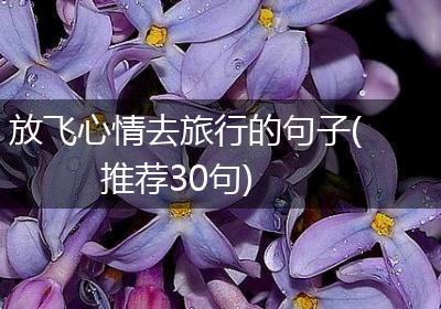 放飞心情去旅行的句子(推荐30句)