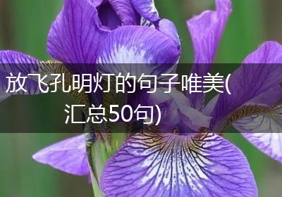 放飞孔明灯的句子唯美(汇总50句)