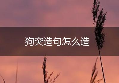狗突造句怎么造