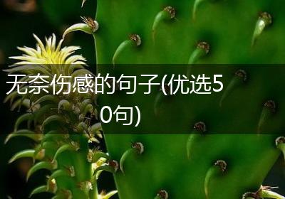 无奈伤感的句子(优选50句)
